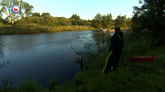 Visstandonderzoek in Friese wateren