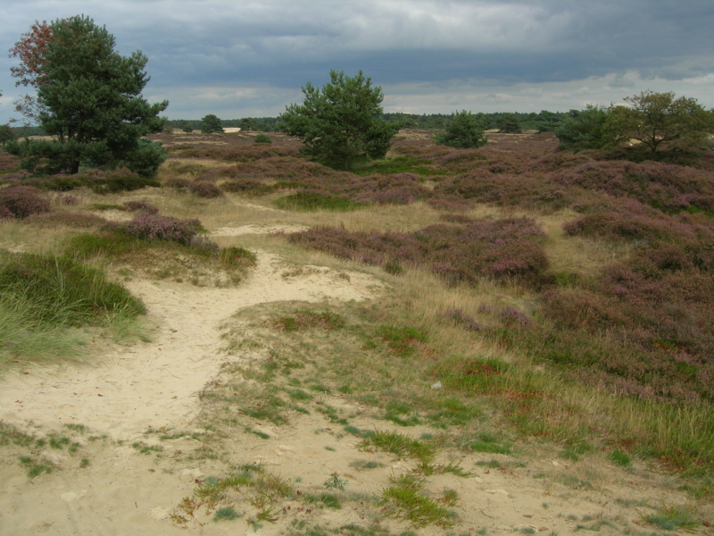 NatuurNetwerk Nederland