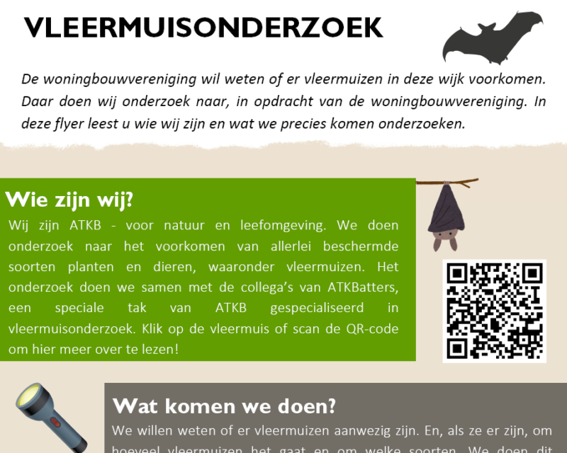 Veiligheid bij vleermuisonderzoek