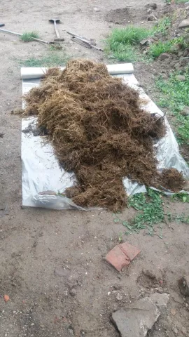 ATKB onderzoekt pilot met Bokashi