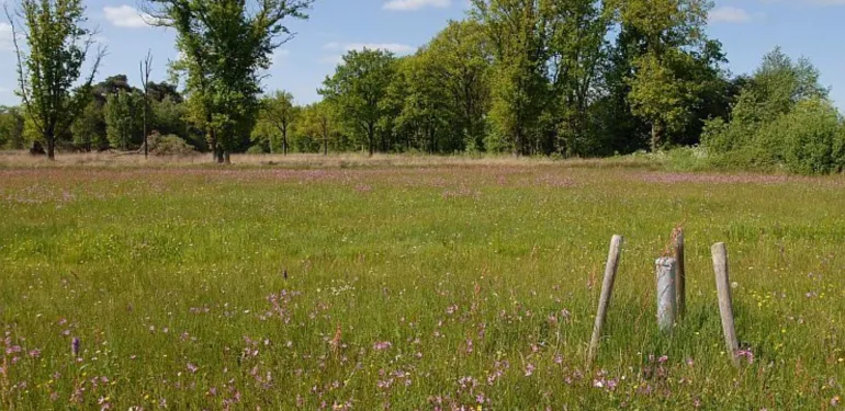 Landschapsecologische systeemanalyse LESA