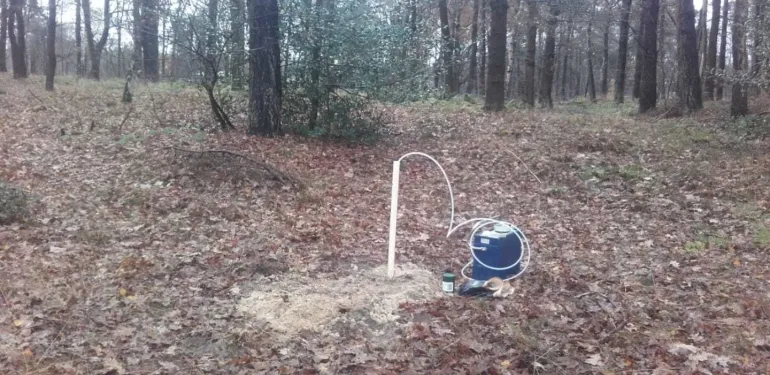 De BioBuis als nieuwe standaard?